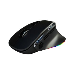 H5 Wired 2.4G Dual Mode Мышь 800-1200-2400DPI RGB Оптическое отслеживание 500 мАч Эргономичные мыши для офисных игр