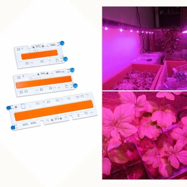 30W / 50W / 70W High Power Full Spectrum LED Увеличить COB Light Chip для растений Растительный AC110V / AC220V - скидка