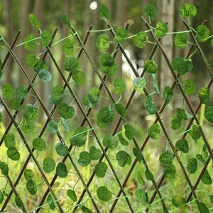 Имитация забора Телескопический забор Открытый садовый забор Стены Декоративные блокирующие растения (листья яблони)