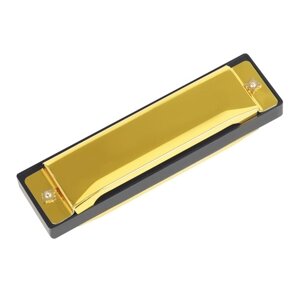 IRIN 10-Hole Harmonica Key of C 20-Tone Музыкальный подарок с футляром для хранения для начинающих студентов