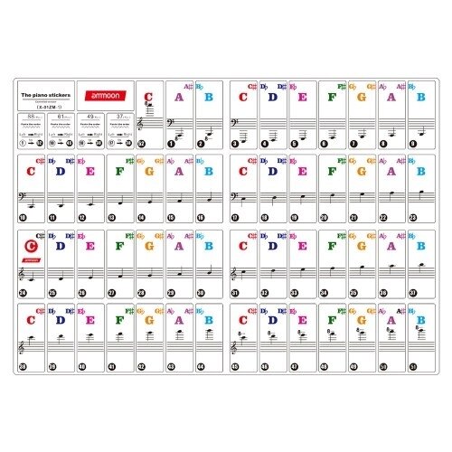 Ампулы Цветные наклейки для фортепиано с фортепиано для 37/49/61/88 клавишных клавиш Съемный прозрачный для детей начинающих Обучение игре на фортепиано - Андижан